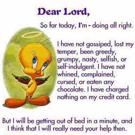 Funny Quotes on Tweety Funny Prayer Devout Pray By Tweety Fun Cartoon   Joke From The