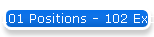 101 Positions - 102 Excuses